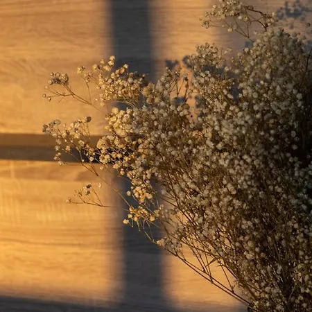 Appartamento Lieblingsquartier 14 *